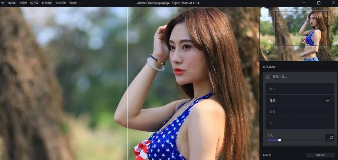 Topaz Photo AI v3.0.5便携版--第6张图片 Topaz Photo AI v3.0.5便携版--第6张图片
