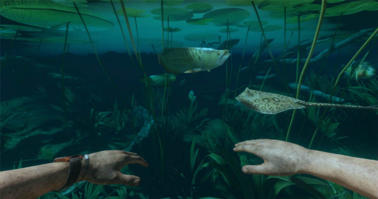 《绿色地狱》v2.9.0中文版--第7张图片 《绿色地狱》v2.9.0中文版--第7张图片