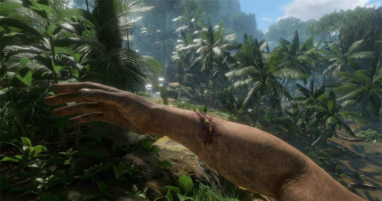 《绿色地狱》v2.9.0中文版--第11张图片 《绿色地狱》v2.9.0中文版--第11张图片