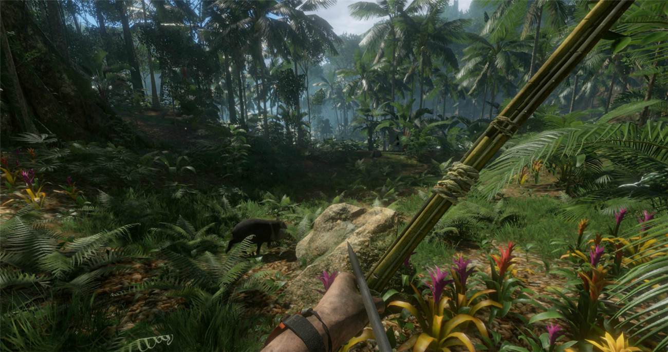 《绿色地狱》v2.9.0中文版--第9张图片 《绿色地狱》v2.9.0中文版--第9张图片