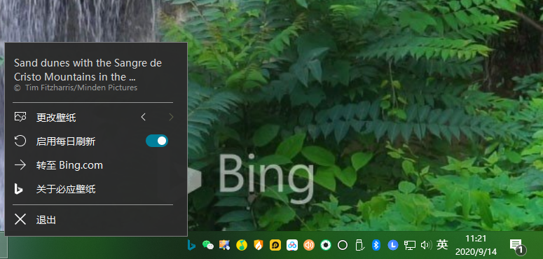 Bing Wallpaper v2.0.1.4中文版--第7张图片 Bing Wallpaper v2.0.1.4中文版--第7张图片